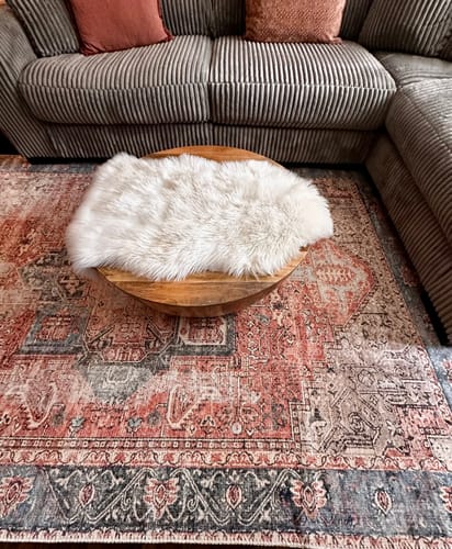 Customer photo review of Distressed Vintage Cezanne Terracotta Sky Area in Multicolor Rug