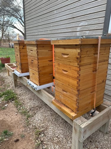 Customer photo review of BeeCastle Hives:10 Frame Wax-coated Cedar Wood Honey Super Medium Box with Unassembled Pine Wood Frame and 100% Beeswax Plastic Foundation