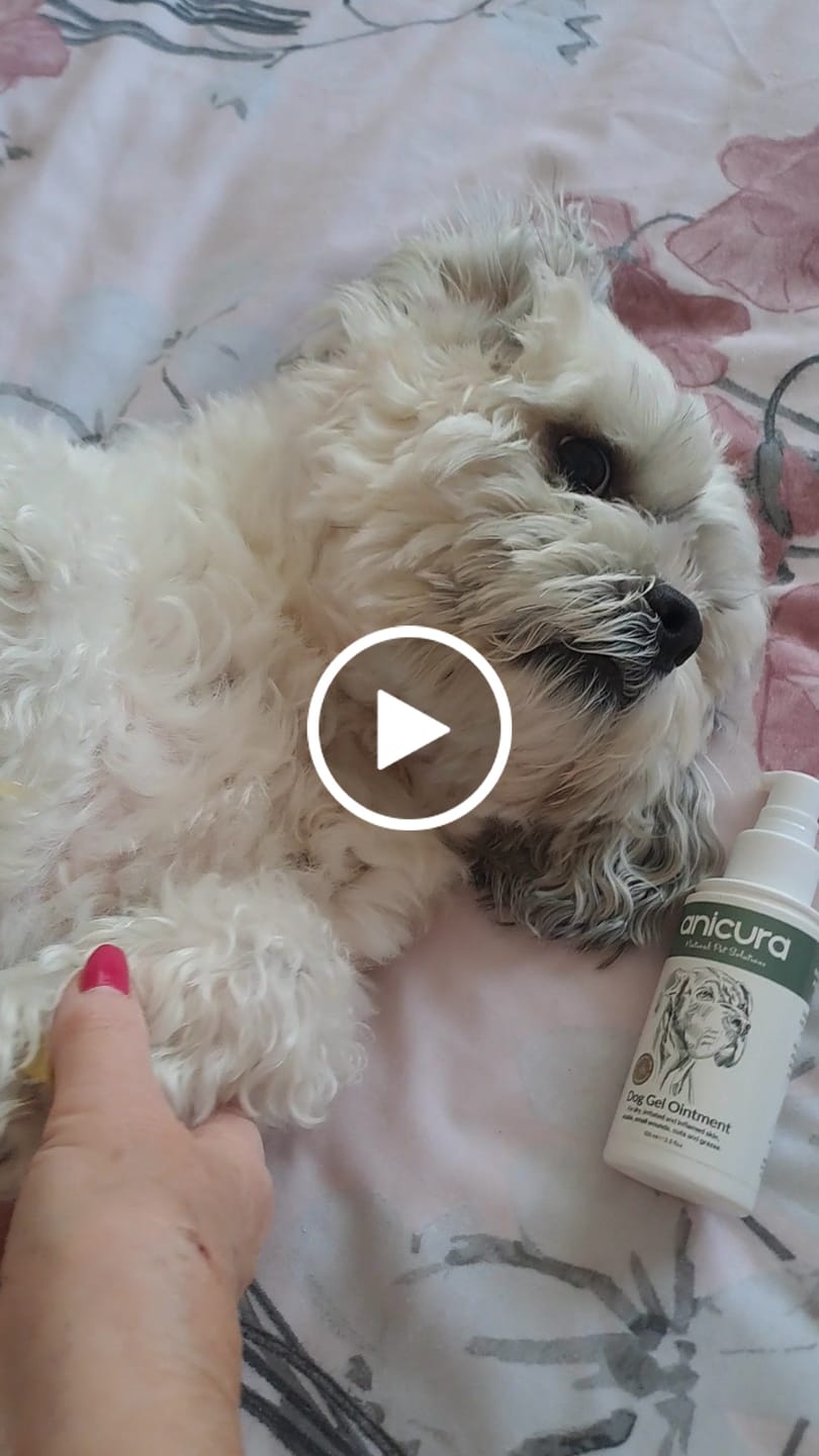 Customer video review of Dog Gel