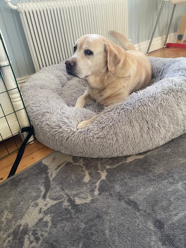 Customer photo review of CalmBed - Motverkar stress & hjälper mot ångest