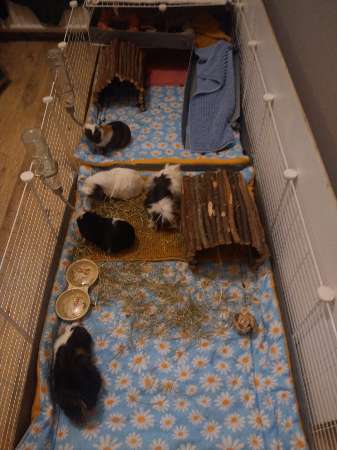 Customer photo review of Set of 2 Fleece Liners | Daisy