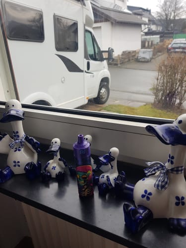 Thomas R. review of REndM Tornado 25000 Puffs Pack of 10 image 1 out of 1