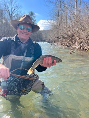 Customer photo review of Blue Line Wide