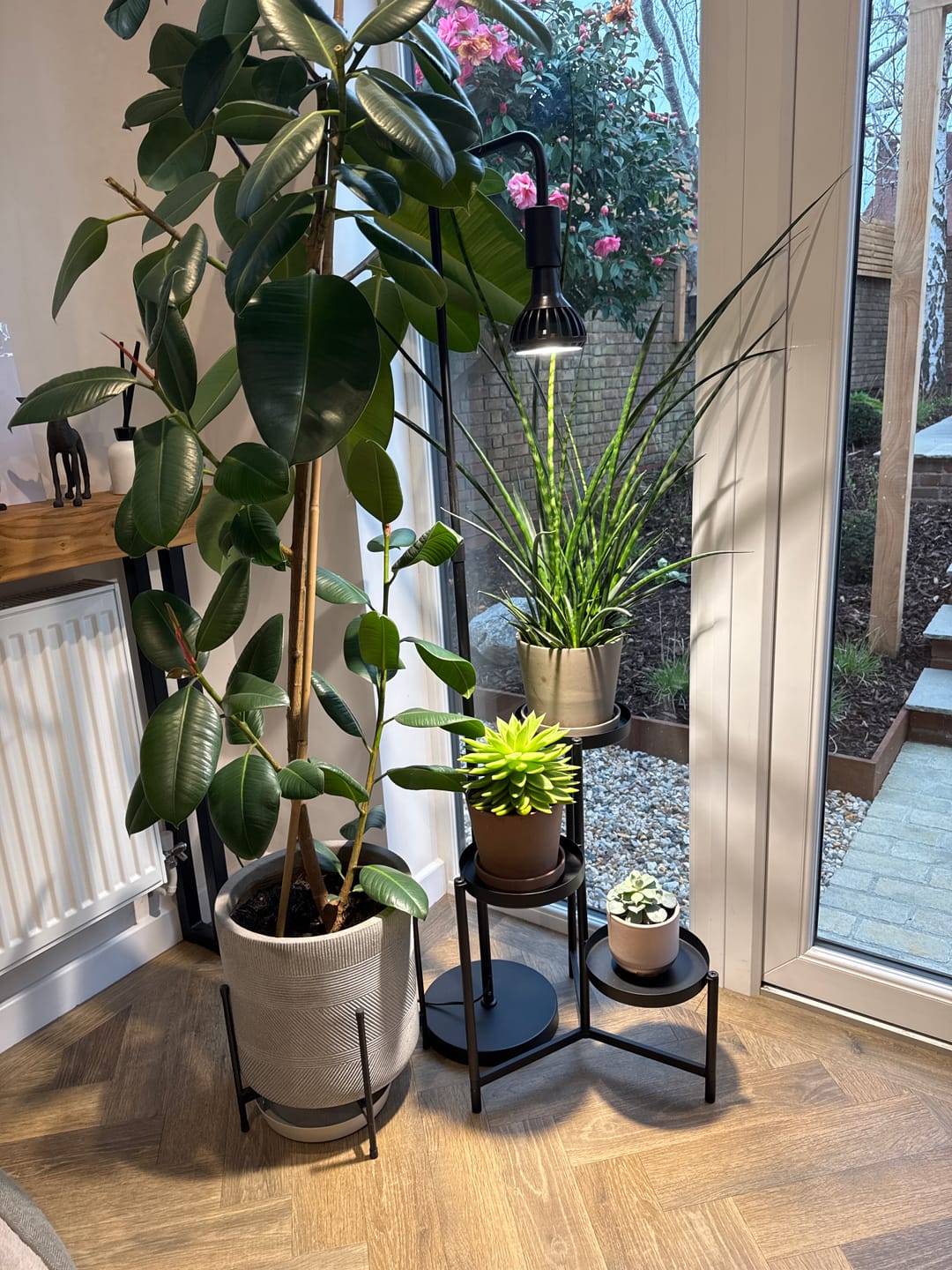 Customer photo review of Pianta Adjustable Floor Lamp