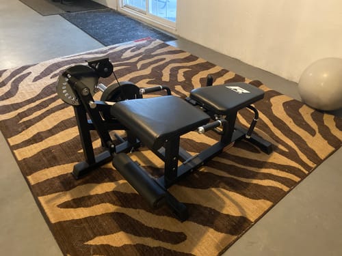 Customer photo review of RitFit PLC01 Leg Extension Curl Machine