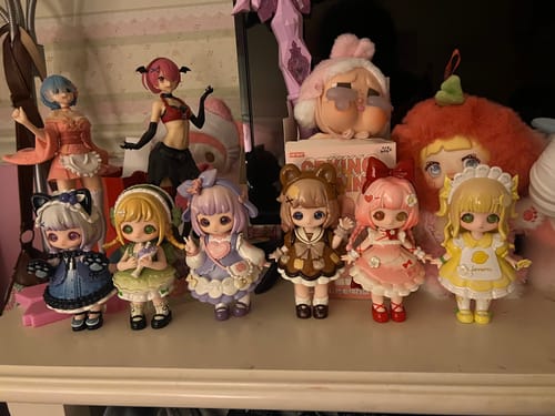 Customer photo review of Liroro Sweetheart Dream Factory Series Blind Box