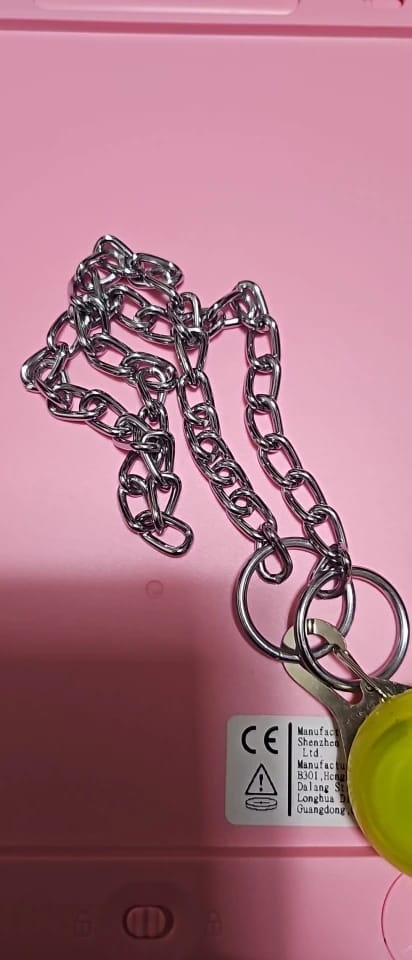 Customer photo review of Stainless Steel Adjustable  Slip Chain Collar For Dog