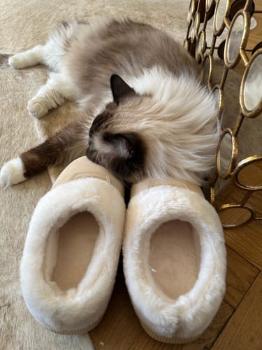 Customer photo review of HappyComfy