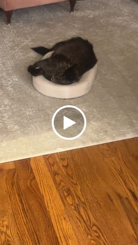 Customer video review of ScratchLounge