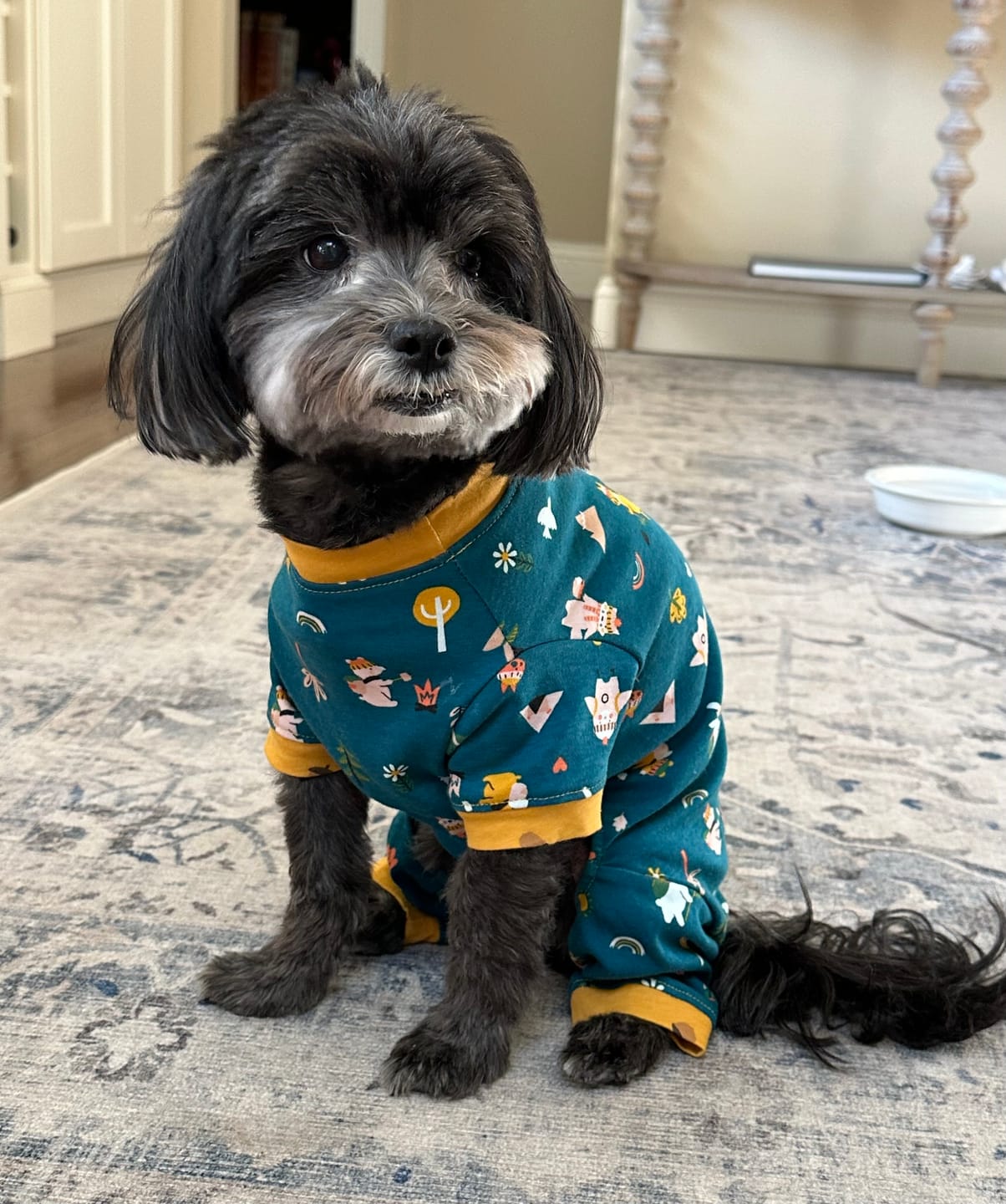 Customer photo review of Handmade Cotton Pajamas - Hiking Bunny
