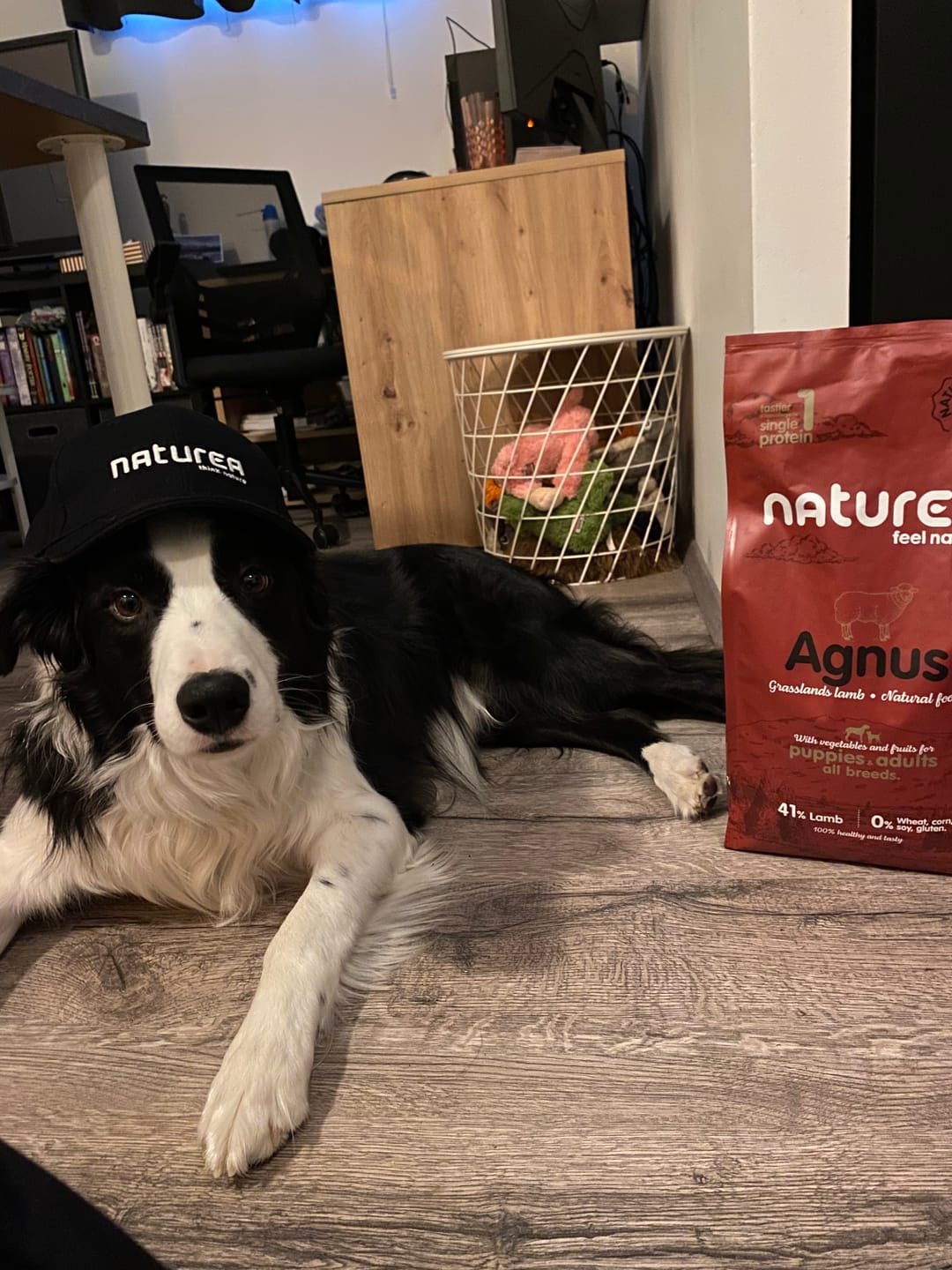 Customer photo review of Naturals hundafóður - Agnus Grasslands Lamb