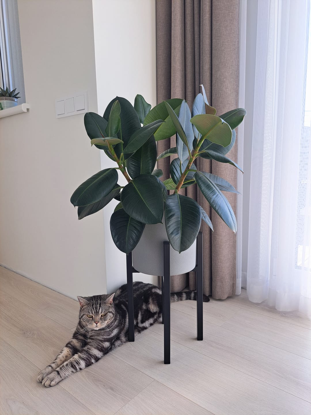 Customer photo review of Vazonų stovas GELA