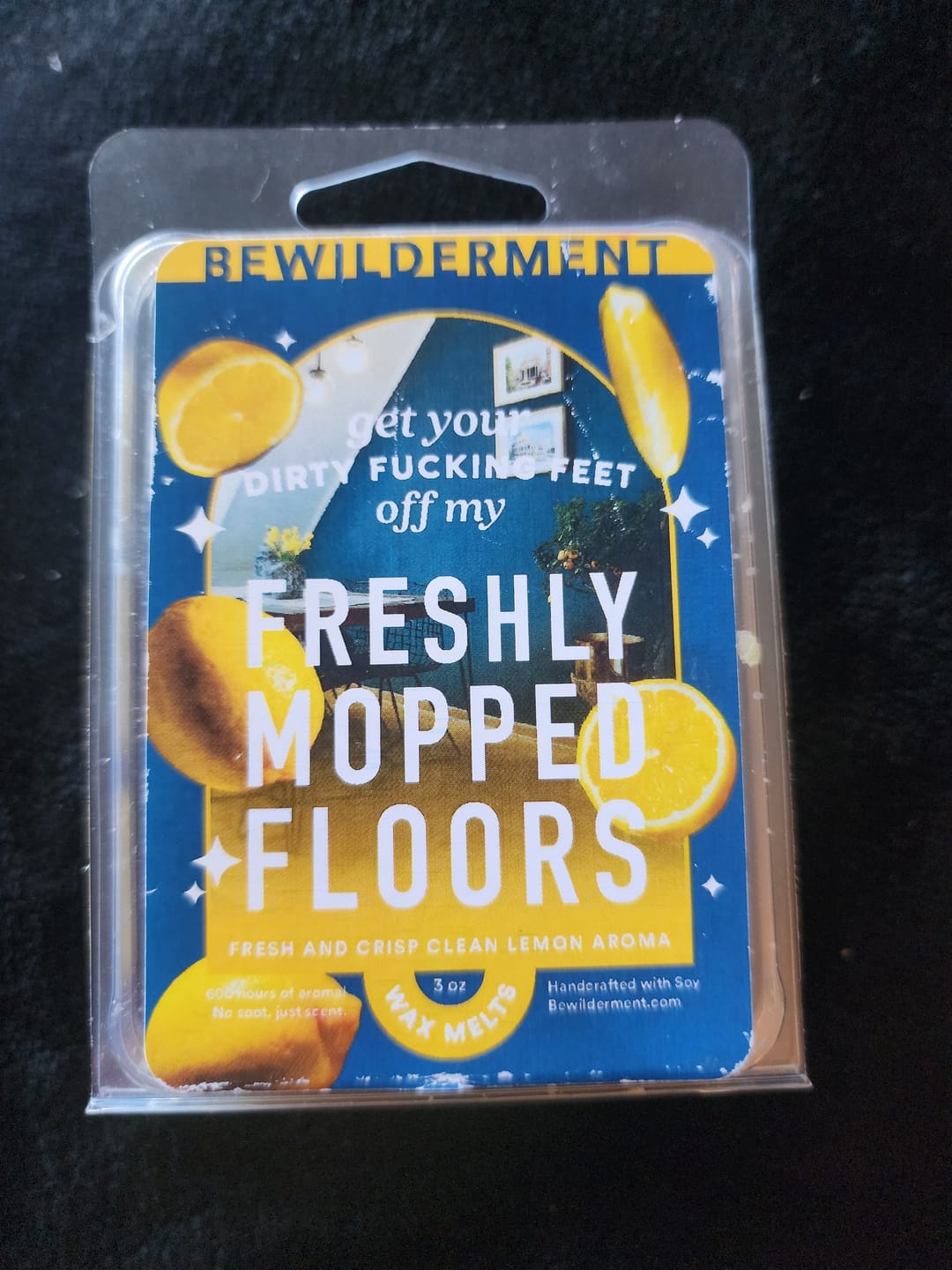 Customer photo review of Freshly Mopped Floors Wax Melts