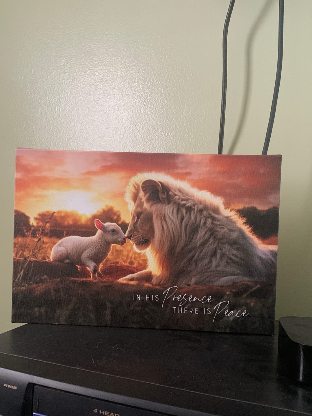 Customer photo review of In His Presence There is Peace, Lion and Lamb, Wall Art Canvas