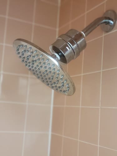 Customer photo review of Shower Head Filter