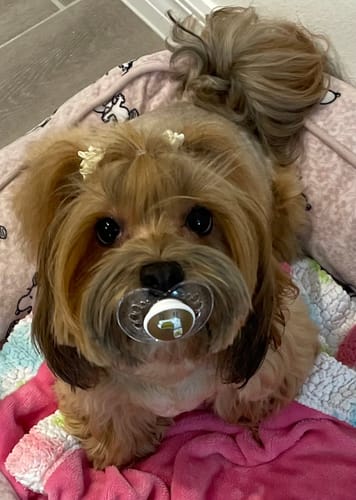 Customer photo review of Functional Seasonings Trio