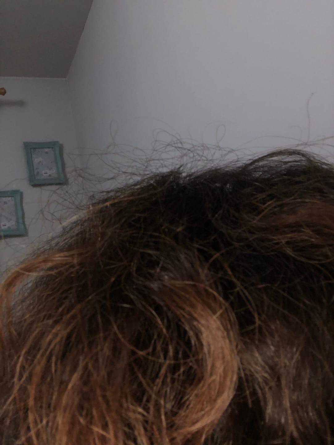 Customer photo review of Acondicionador Delicate Colorcare Elgon