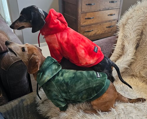 Customer photo review of Velvet Dog Hoodie - Emerald Green