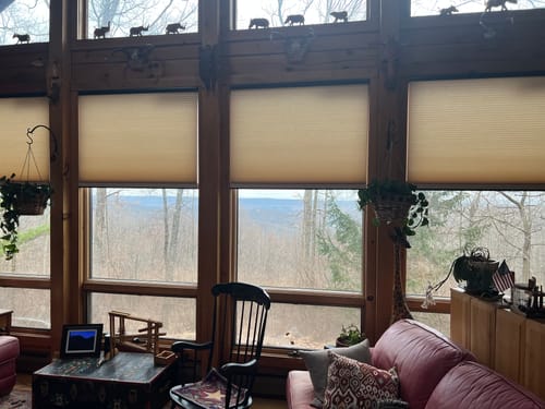Customer photo review of SmartWings Motorized Light Filtering Cellular Shades Nowa
