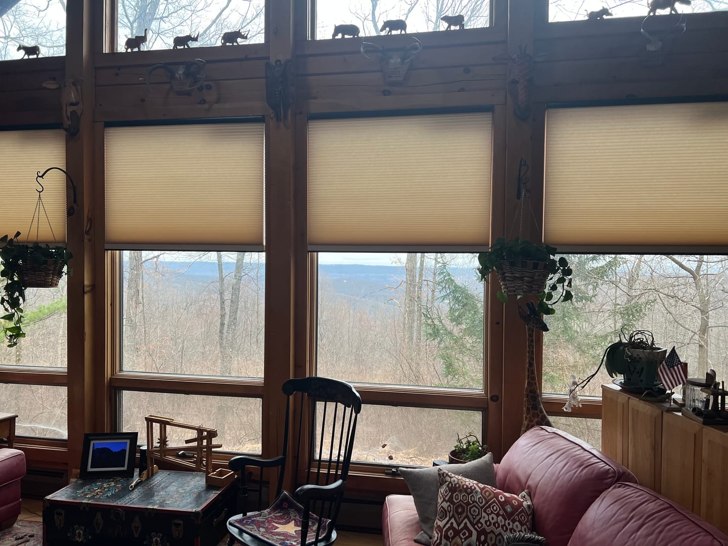 Customer photo review of SmartWings Motorized Light Filtering Cellular Shades Nowa