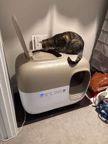 Customer photo review of Self-Cleaning Litter Box
