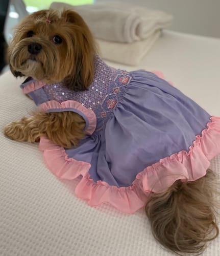 Customer photo review of Functional Seasonings Trio