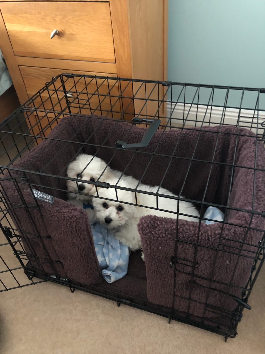 Customer photo review of Danish Design Crate Bedding Set