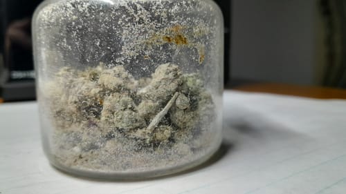 Customer photo review of THCA Snowballs