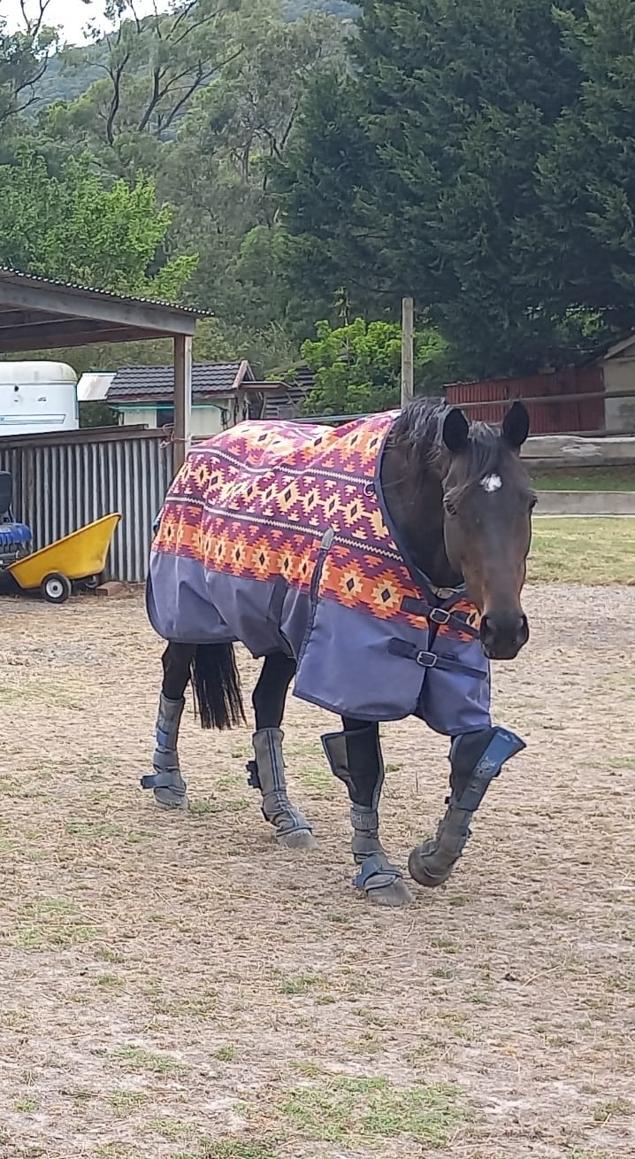 Customer photo review of LE Defender Fly Boots