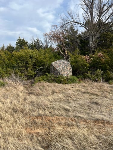 Customer photo review of FLASH SALE VisST See-Through Pop-Up Ground Blinds with Silent Magnetic Door