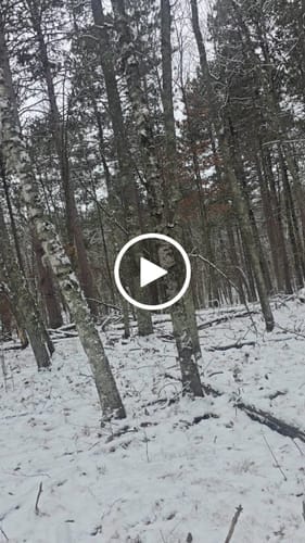 Customer photo review of FLASH SALE SilenTrace Heated Hunting Jacket (2-Piece Set)
