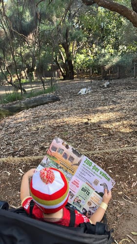 Customer photo review of Dolphins Infant Beanie