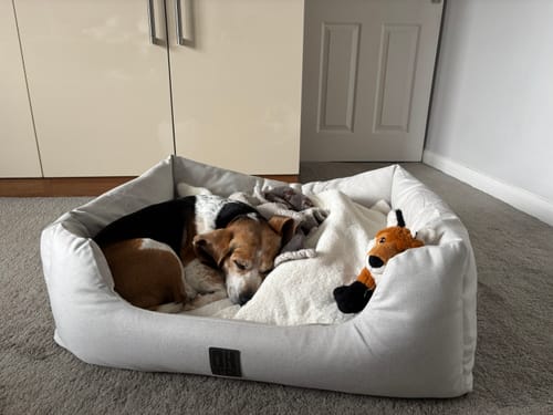 Customer photo review of The Slumber Tray Bed - Ivory
