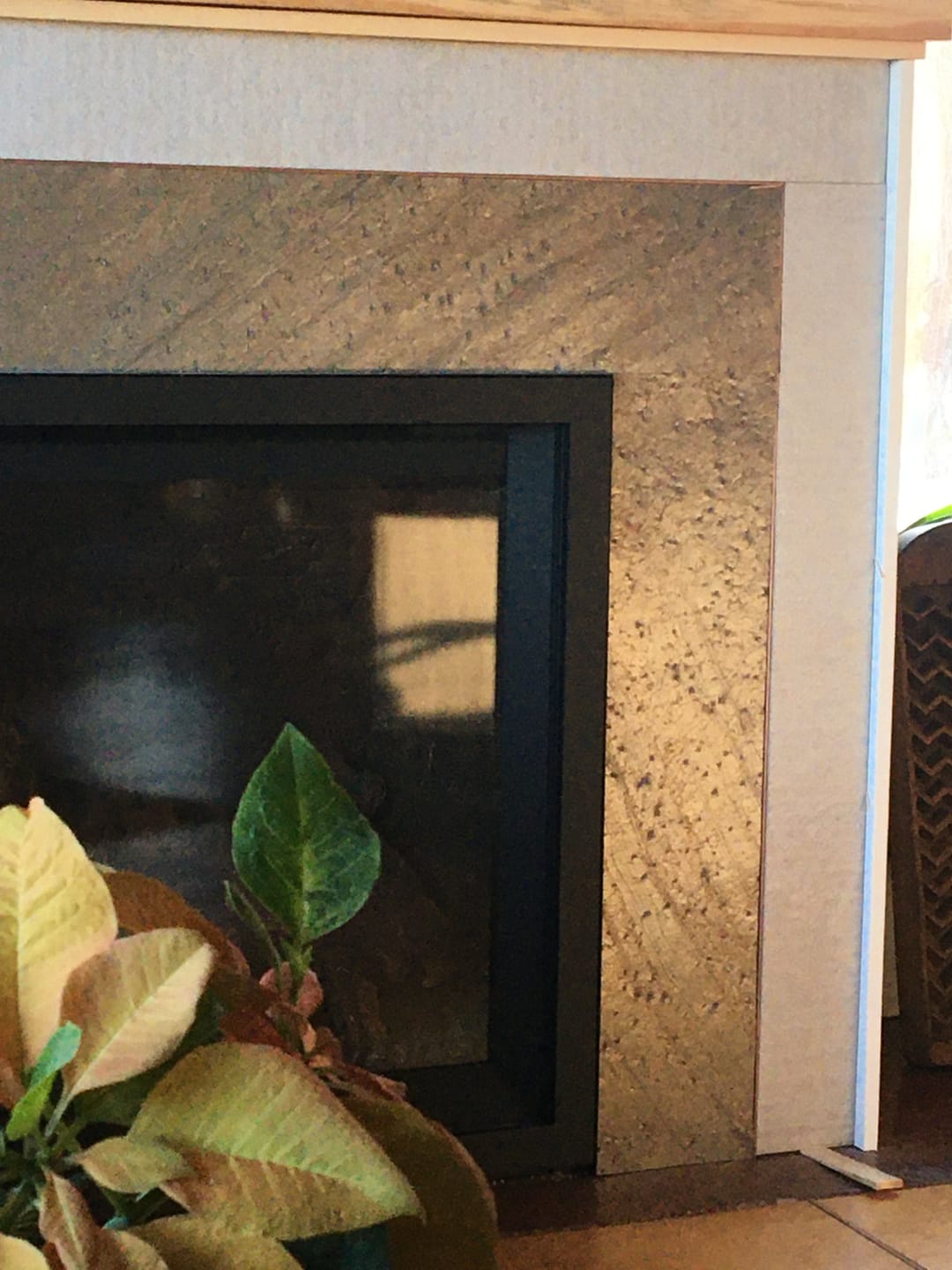 Customer photo review of Bodhi
