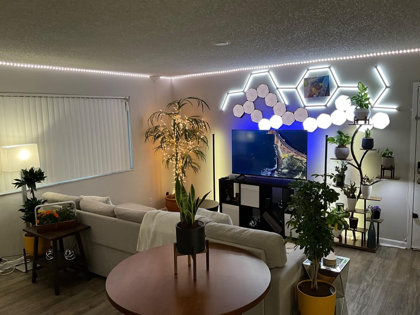 Customer photo review of 63" Indoor Plant Stand with Grow Lights
