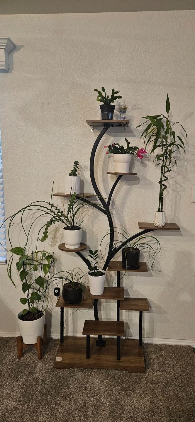 Customer photo review of 63" Indoor Plant Stand with Grow Lights