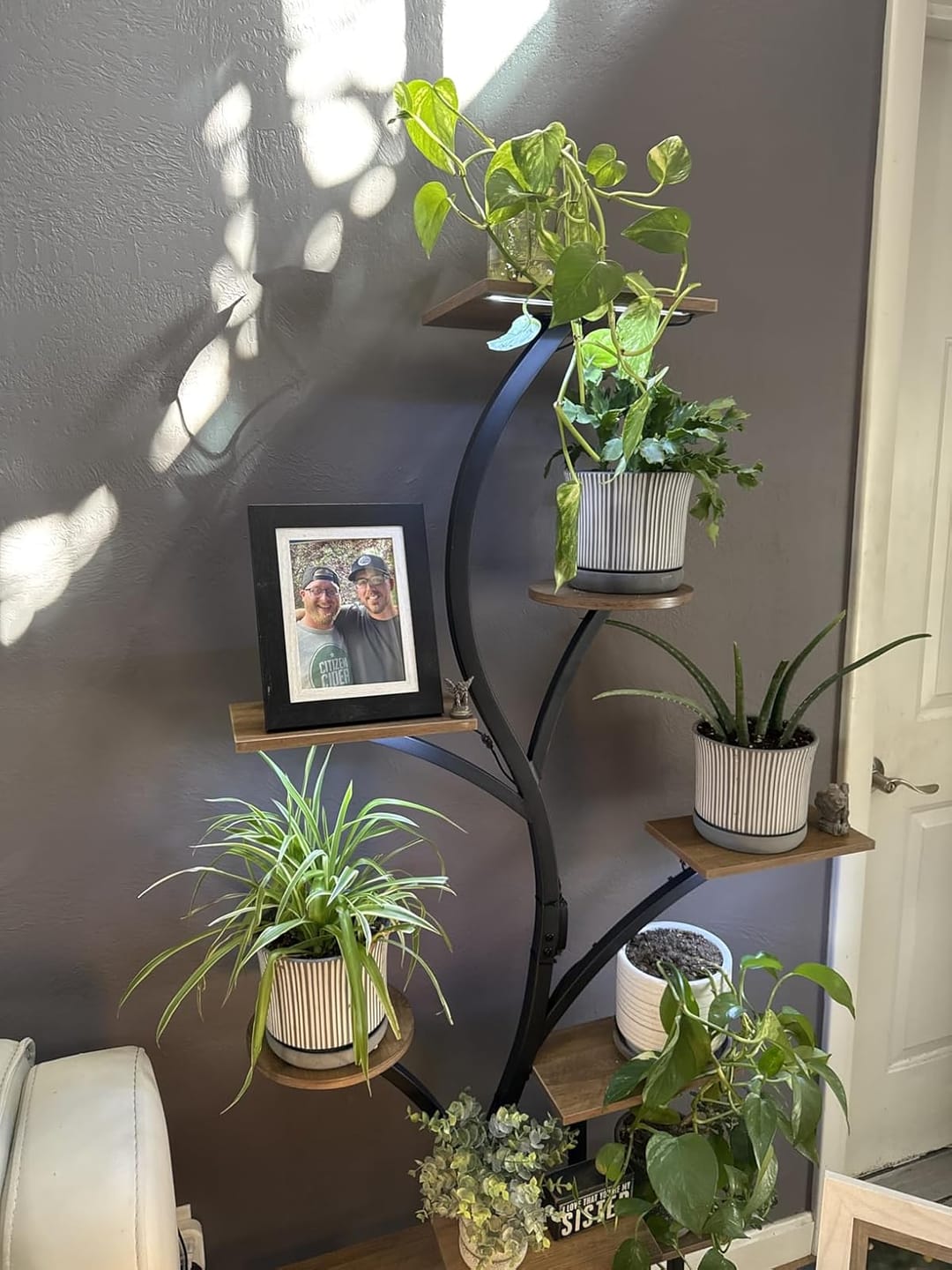 Customer photo review of 63" Indoor Plant Stand with Grow Lights