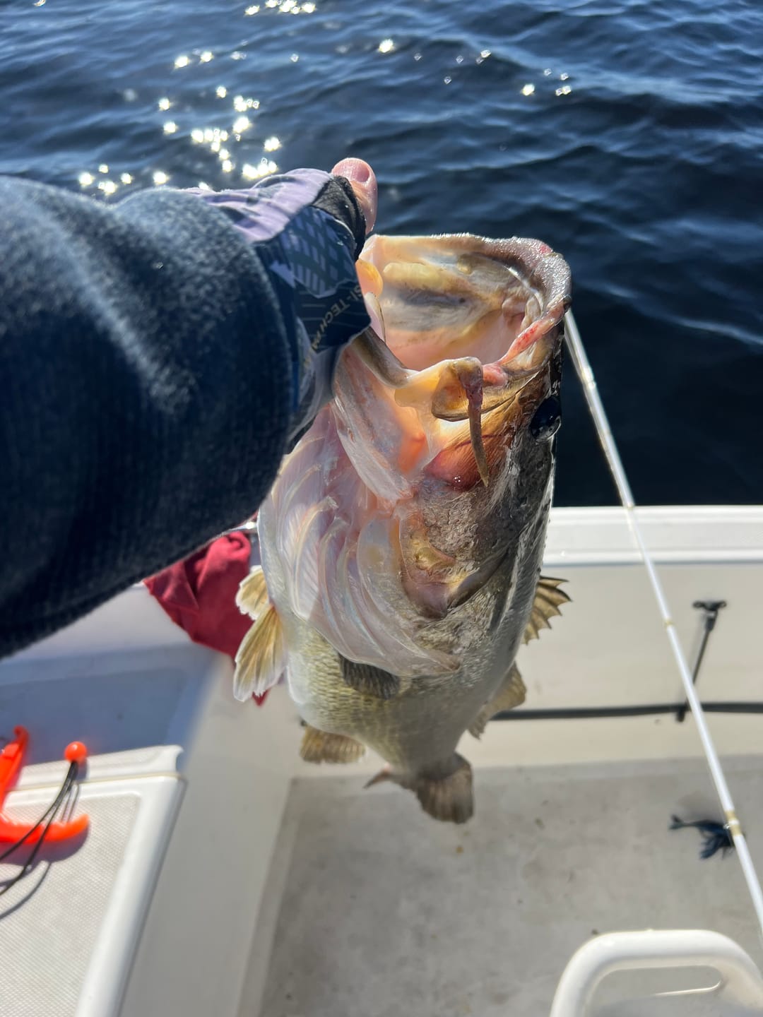 Customer photo review of 200% Sensitive Tungsten Worm Weights | Bullet Weights | 2 Colors 5 Pack