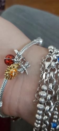 E. S. review of 925 Sterling Silver Ladybug And Dragonfly Charm image 1 out of 1
