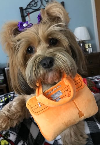 Customer photo review of Functional Seasonings Trio