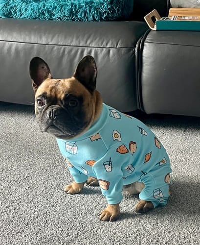 Customer photo review of Dog Pajama - Breakfast Blue
