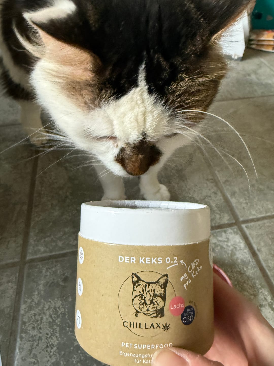 Customer photo review of Katzenkekse - Lachs - 0.2 mg CBD - Total 120 mg CBD