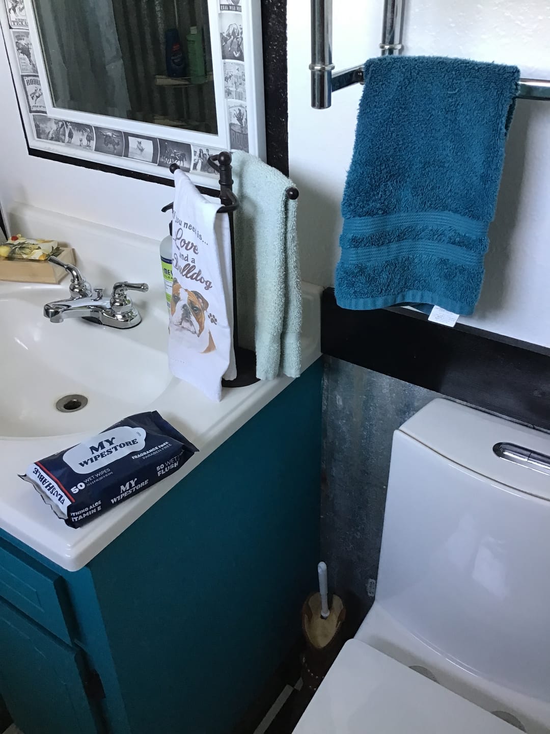 Customer photo review of My Wipes Premium Flushable Wipes