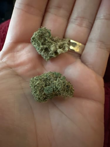 Customer photo review of Lost My Mind