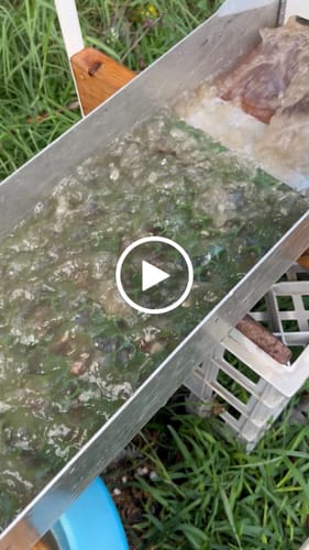 Customer video review of GR 4700 GPH Bushmans Bilge Pump™