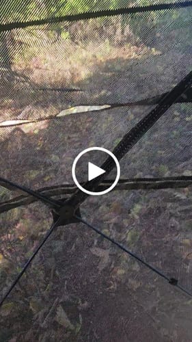 Customer photo review of FLASH SALE TideWe 4-6 Person Turkey Hunting Blind See Through Camo Ground Blind