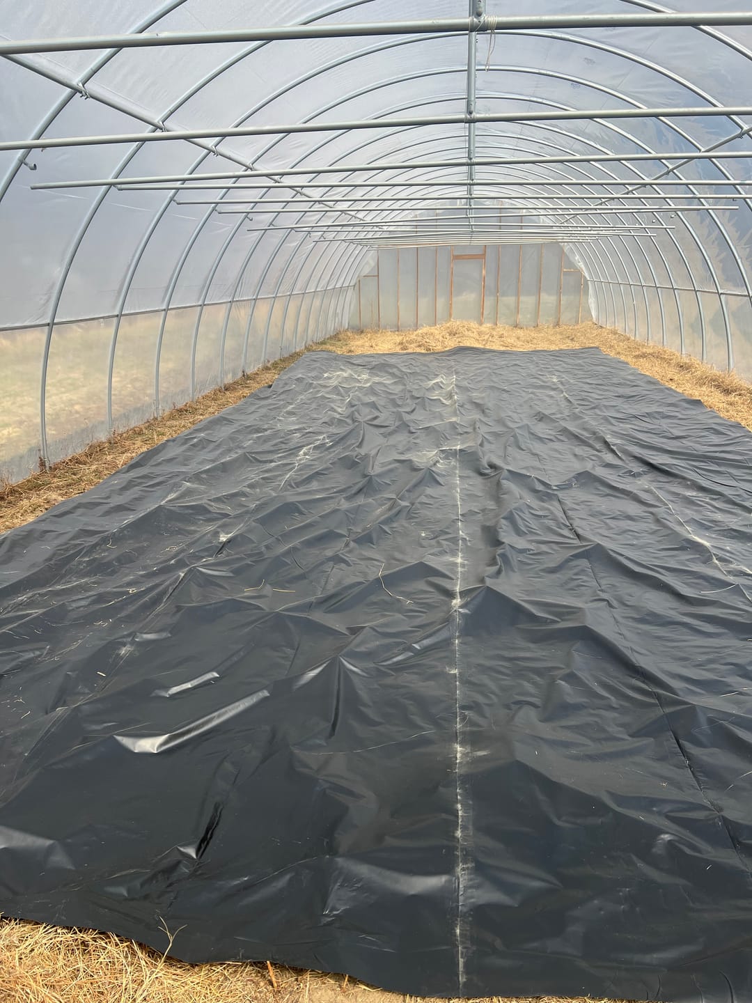 Customer photo review of Silage Tarp 20' x 50'*