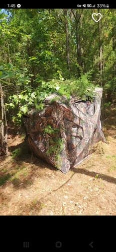 Customer photo review of FLASH SALE VisST See-Through Pop-Up Ground Blinds with Silent Magnetic Door