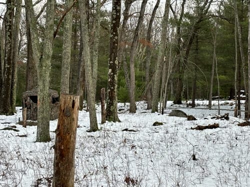 Customer photo review of FLASH SALE Vis360 See Through Silent 4 Full Panels Deer Hunting Blind