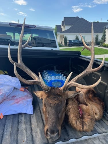 Customer photo review of VisMaster 270° See-through Hunting Blind with No-Trip Door